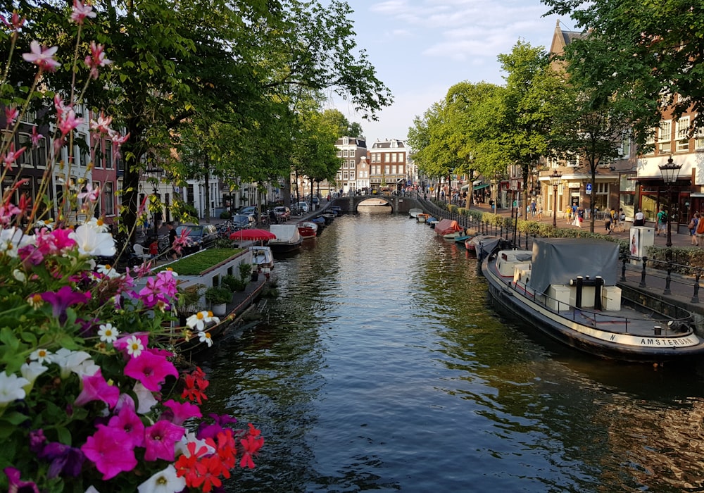 Kanal Turu