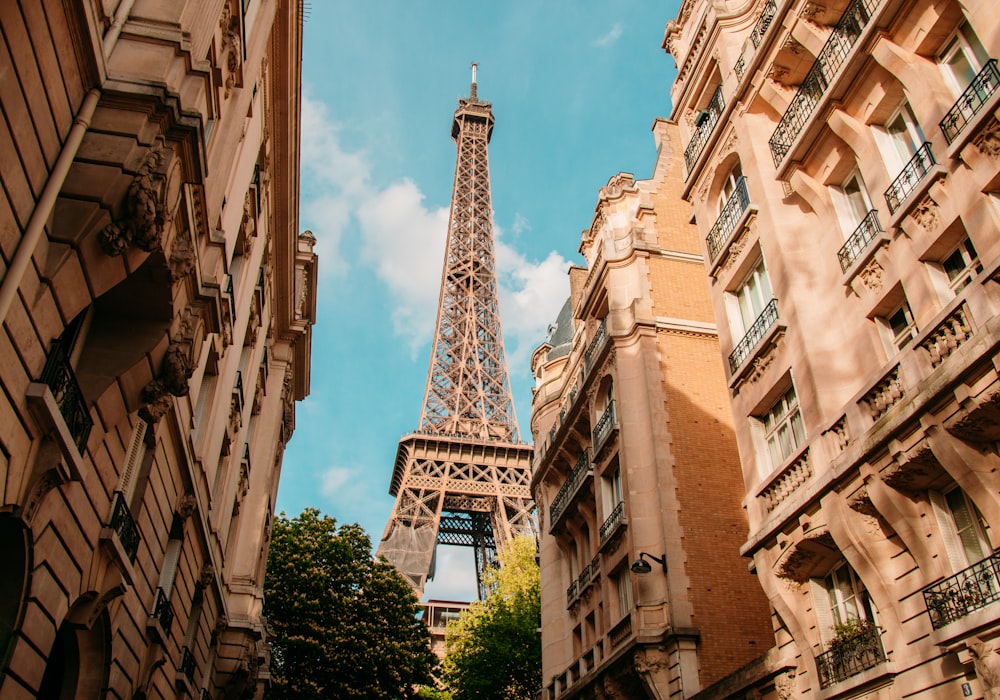 Notre-Dame Katedrali